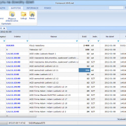 stan-magazynu-na-dzien-framework