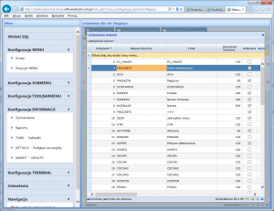 konfiguracja informacji fieldset konfiguracja