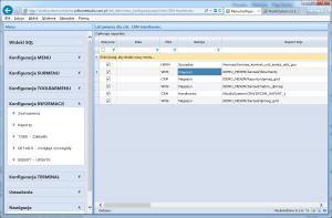konfiguracja informacji raporty